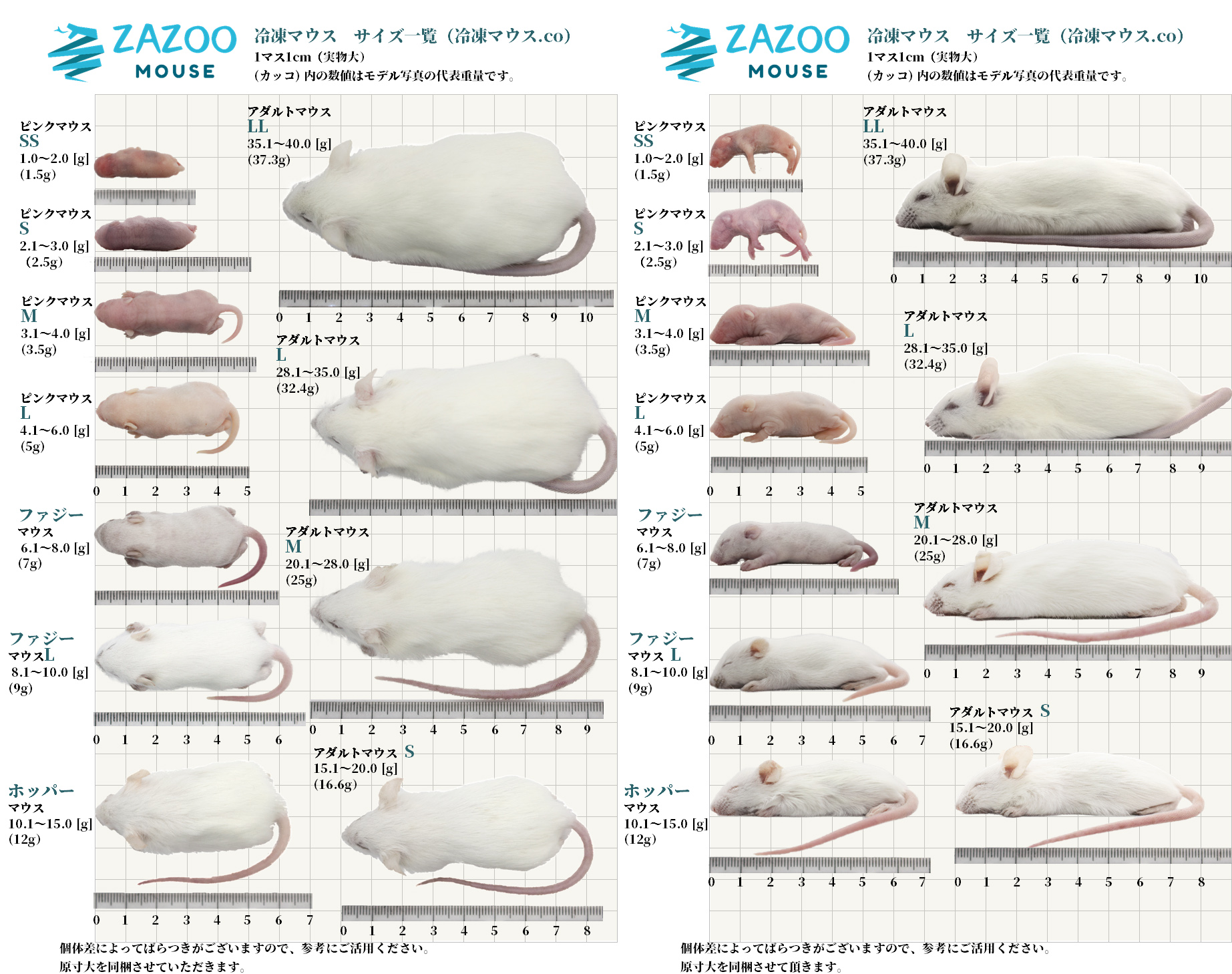 ZAZOO 冷凍マウスドットコム | あなたのペットがいつまでも健康でありますように